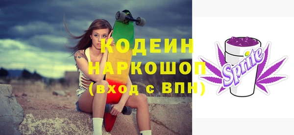 дживик Богородицк