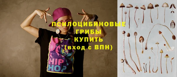 дживик Богородицк