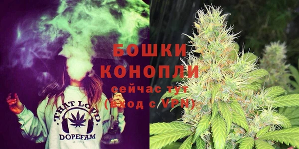 ECSTASY Богородск