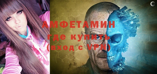 метадон Богданович