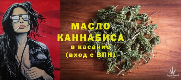 дживик Богородицк
