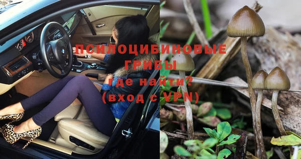дживик Богородицк