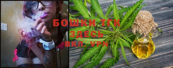 метадон Богданович