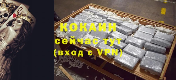 метадон Богданович