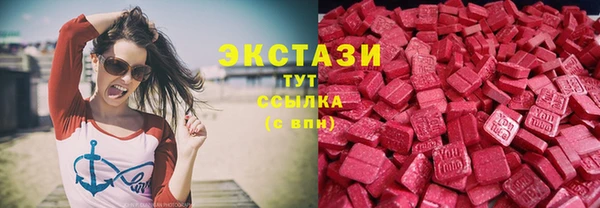 дживик Богородицк
