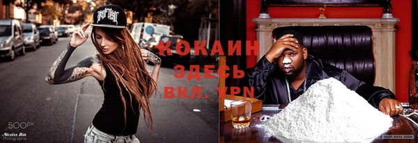 ECSTASY Богородск