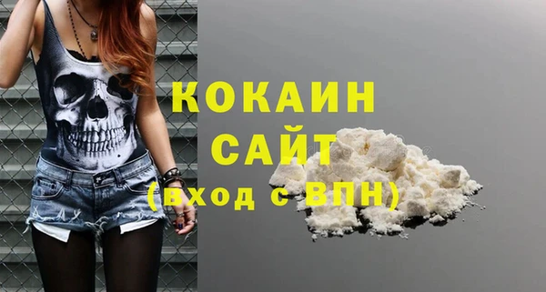 дживик Богородицк